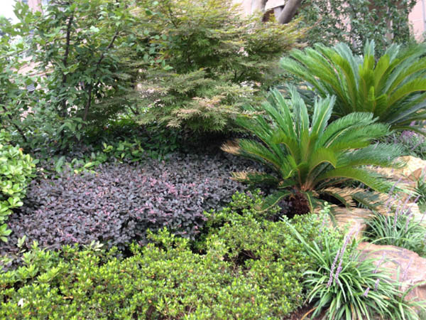 TapTap点点的愿景与理想