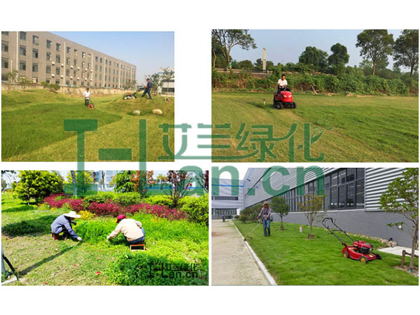 城市园林绿化的重点有哪些？